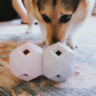 The Odin Modern Interactive Dog Puzzle