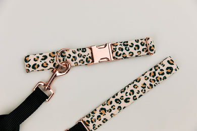 Leopard Print Dog Collar w/ Rose Gold Buckle
