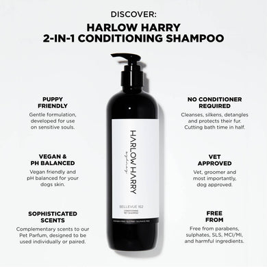 Harlow & Harry 2-in-1 Conditioning Shampoo - Bellevue 162