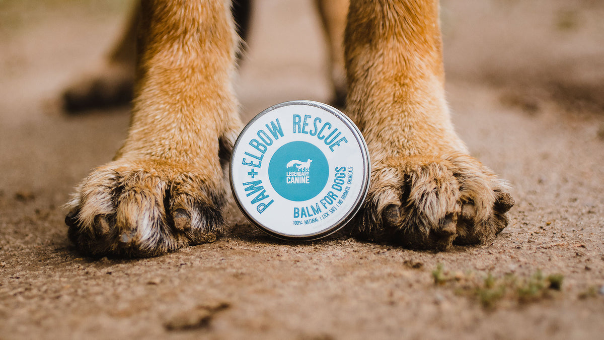 Legendary Canine Paw & Elbow Rescue - 60ml – Fella & Fetch