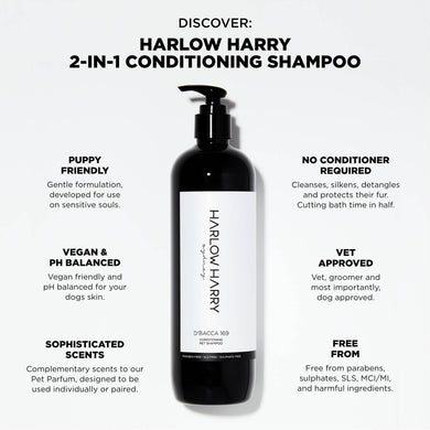 Harlow & Harry 2-in-1 Conditioning Shampoo - D'bacca 169