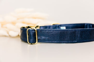 Sapphire Jewel Dog Collar w/ Gold Buckle