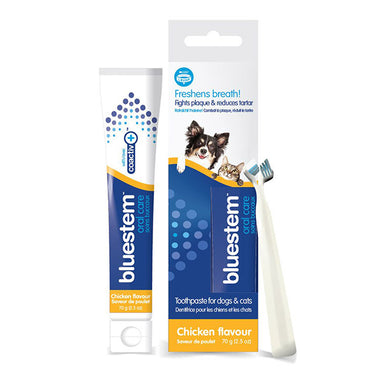 Bluestem Oral Care - Toothbrush & Toothpaste Combo Vanilla Mint