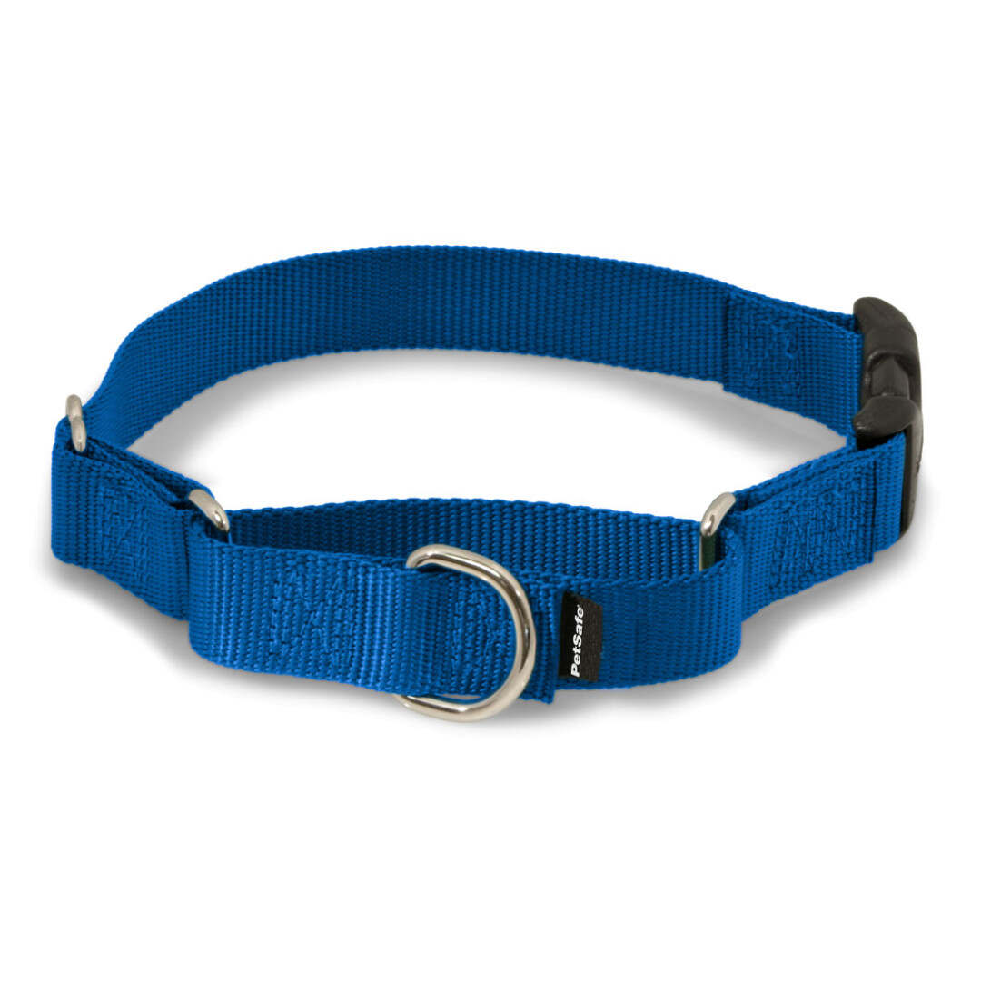 PetSafe Martingale Collar with Quick Snap Buckle, 1-Inch Medium, Raspberry  : : Pet Supplies