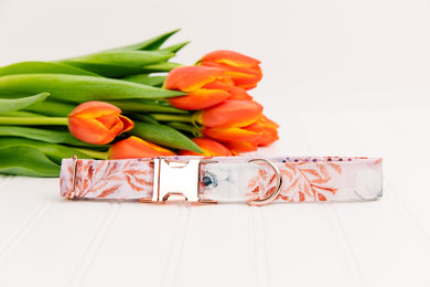 White Poppies Dog Collar w/ Rose Gold Buckle