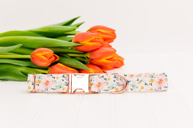 Watercolour Flowers Dog Collar w/ Rose Gold Buckle