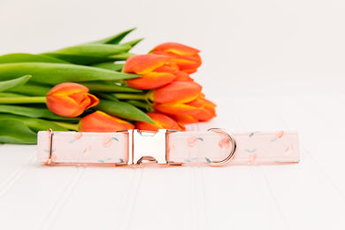 Tiny Pink Peaches Dog Collar w/ Rose Gold Buckle